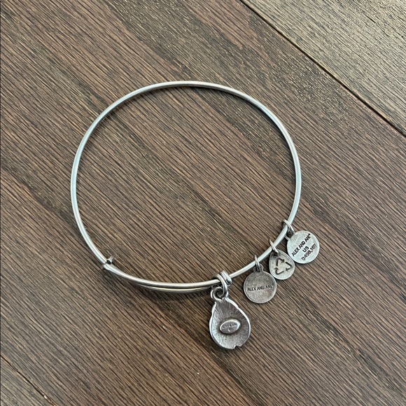 Alex and Ani Ladybug Bracelet - Picture 4 of 4